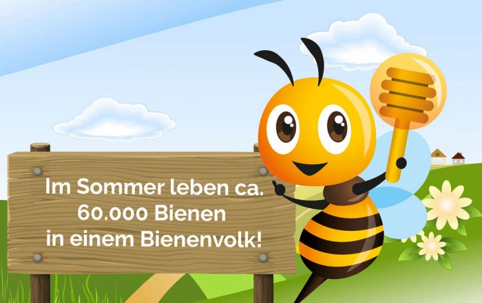 Bio Imkerei Bramreither- Mühlviertel - Biene Valentine - Penning - Helfenberg - Honig aus der Region - Rund 60.000 Bienen in einem Volk