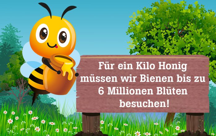 Bio Imkerei Bramreither - Biene Valentine - 6 Millionen Blüten für ein Kilo Honig - Mühlviertel