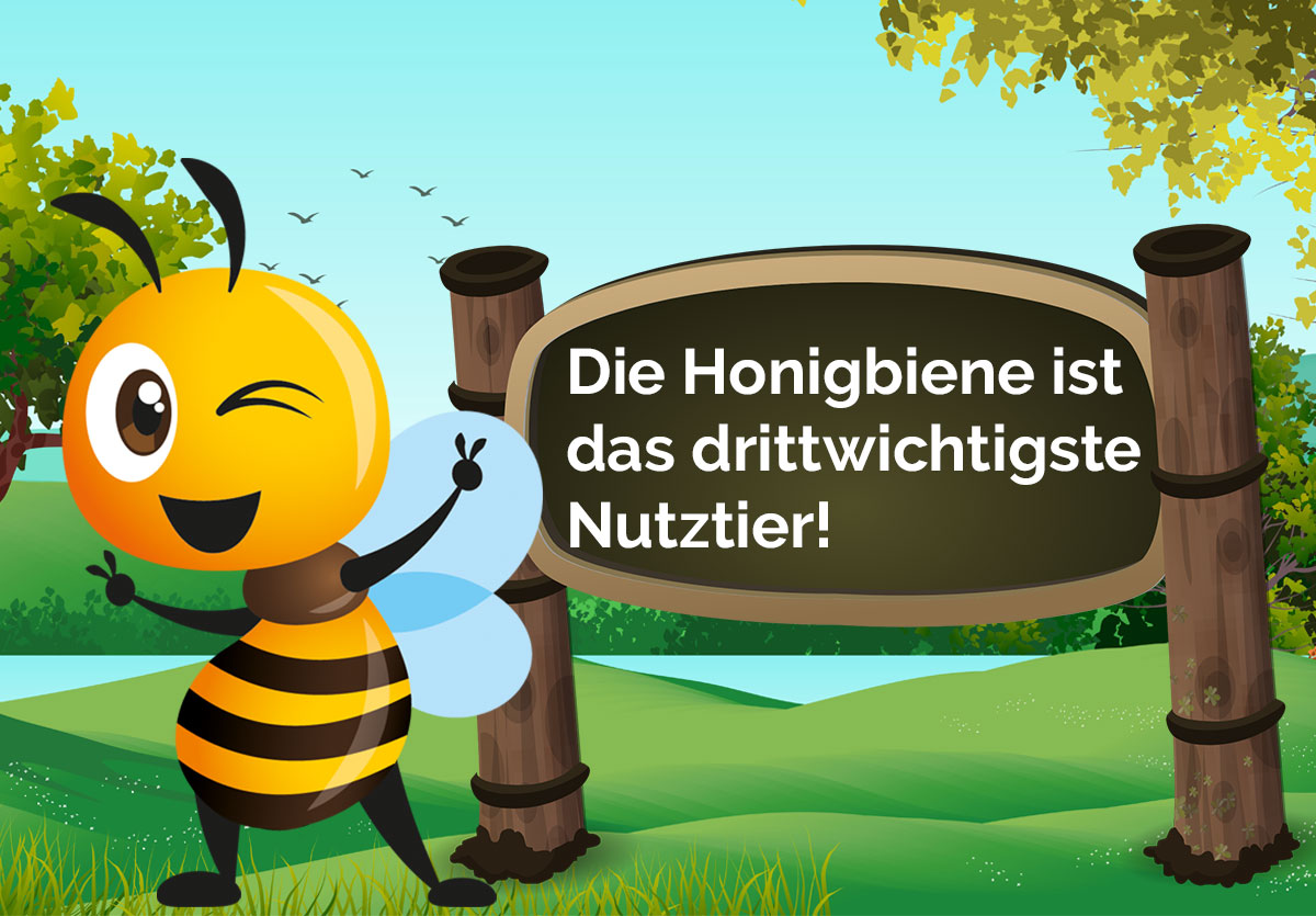 Bio Imkerei Bramreither - Biene Valentine - Honigbiene ist das drittwichtigste Nutztier - Mühlviertel - Rohrbach - Helfenberg - Penning
